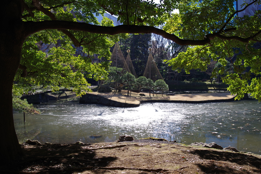 内庭_小石川後楽園