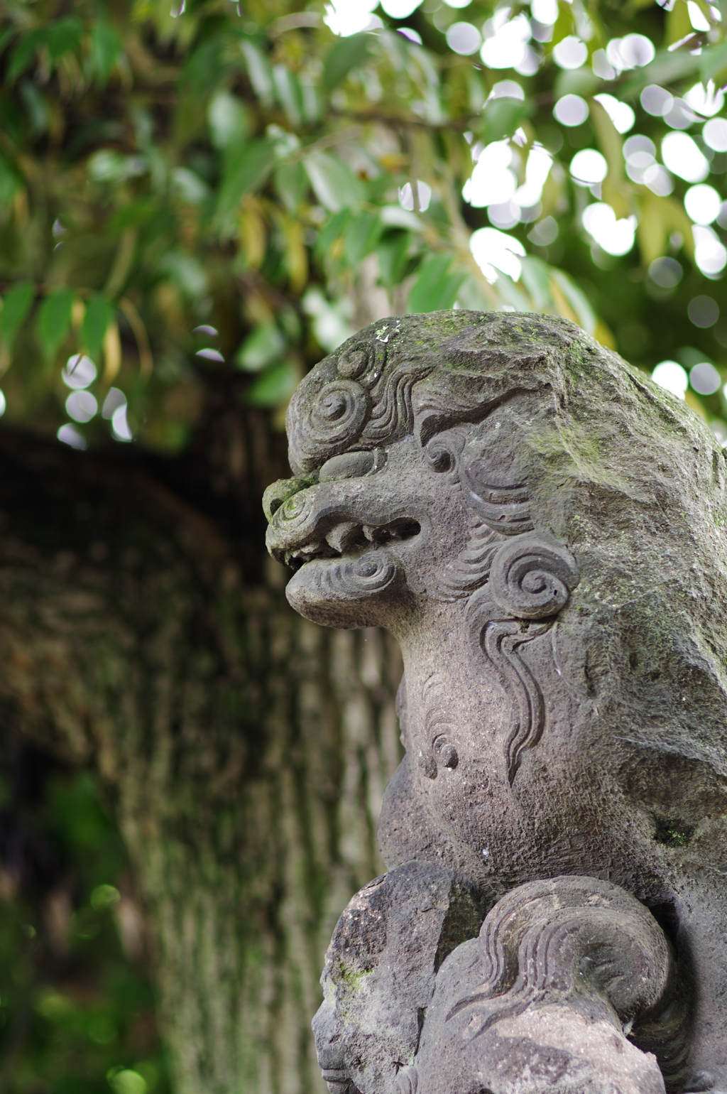 狛犬_富岡八幡宮