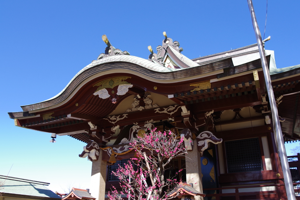 拝殿_新宿諏訪神社