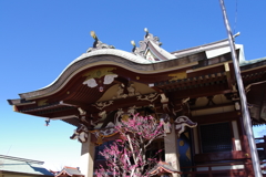 拝殿_新宿諏訪神社