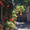 中野通り