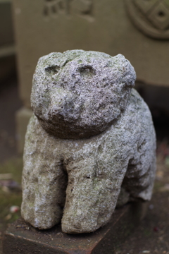 狛犬？_渋谷氷川神社