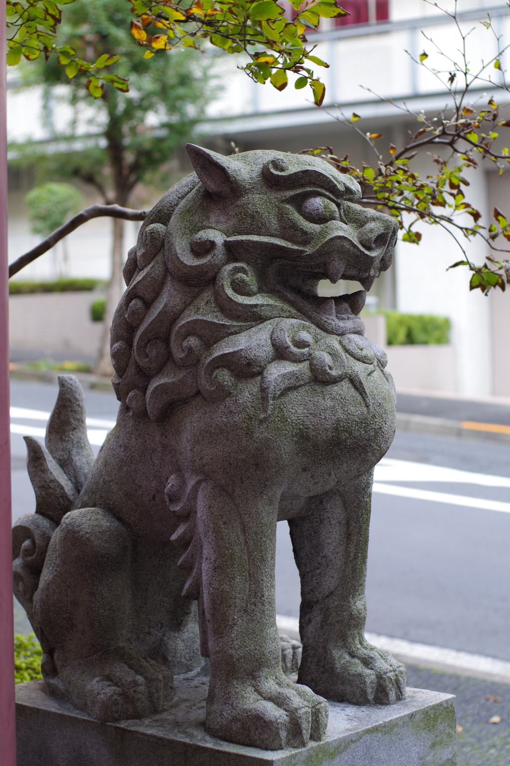 狛犬_築土神社