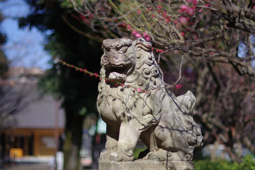 狛犬_新井天神北野神社