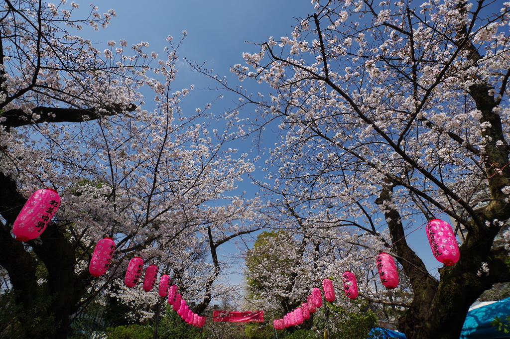 新井薬師公園