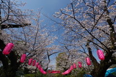 新井薬師公園