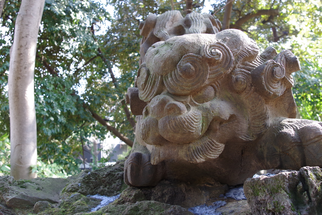 獅子山_赤坂氷川神社