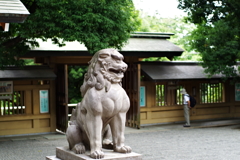 狛犬_東郷神社