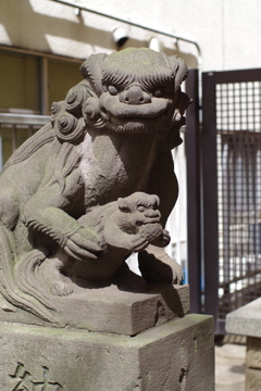 狛犬_秋葉神社(新宿)