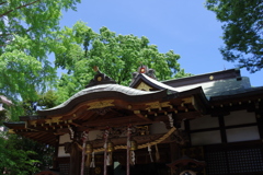 拝殿_八幡大神社