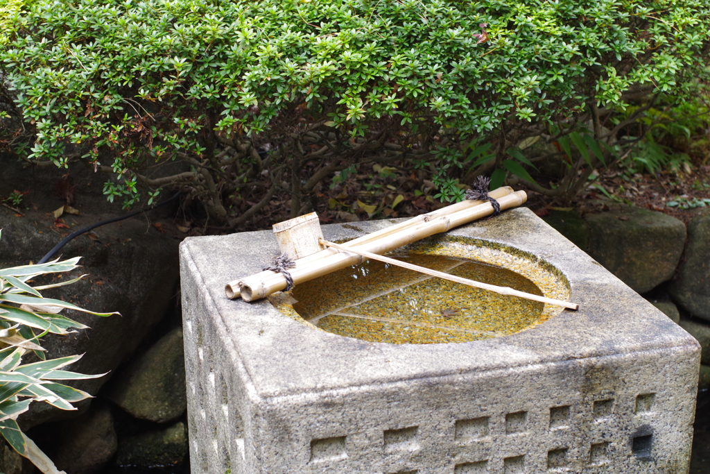 手水鉢_杉並区立大田黒公園