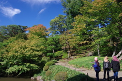 日本庭園_旧古河庭園