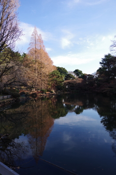 下の池_新宿御苑