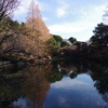 下の池_新宿御苑