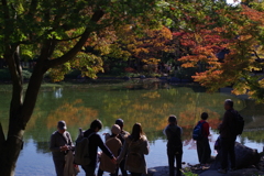 日本庭園_国営昭和記念公園