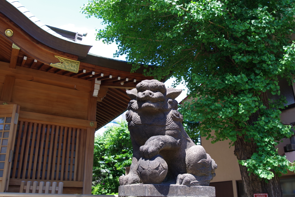 狛犬_田端八幡神社