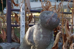 狛犬_隼人歴史民俗資料館