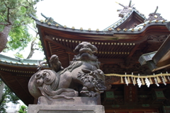 狛犬_荏原神社