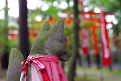 稲荷様の狐_東伏見稲荷神社