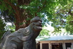 狛犬_駒込天祖神社