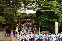 祭り_金王八幡宮