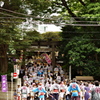 祭り_金王八幡宮