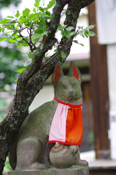 稲荷様の狐_田宮稲荷神社