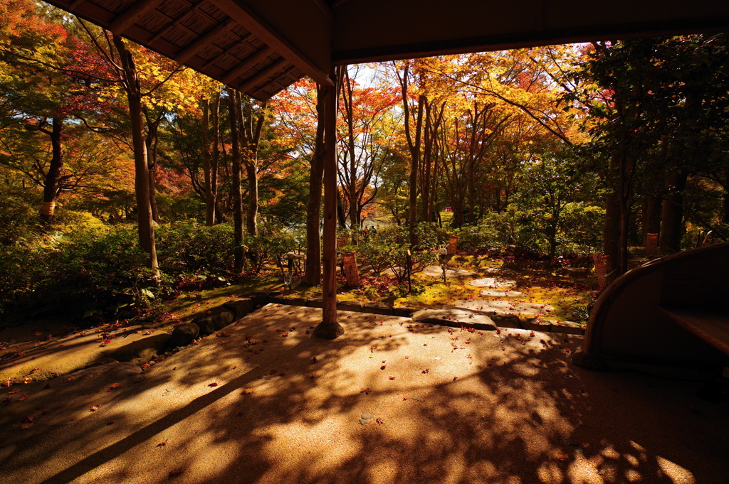 日本庭園_昭和記念公園