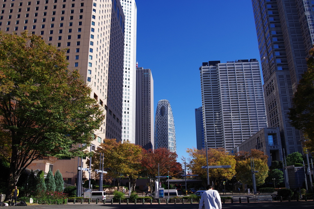 西新宿