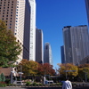 西新宿