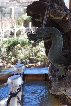 手水舎_龍_白山神社(文京区)