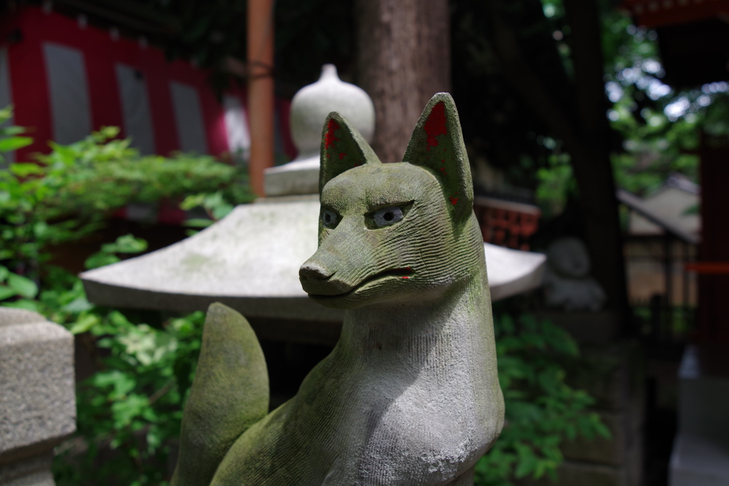 稲荷様の狐_江東天祖神社