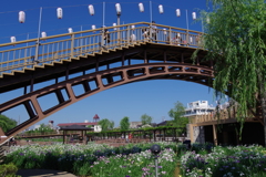 橋_水郷潮来あやめ園