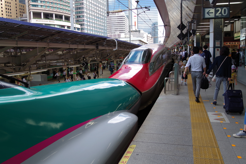 はやぶさとこまち_東京駅