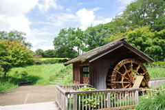 こもれびの里_昭和記念公園