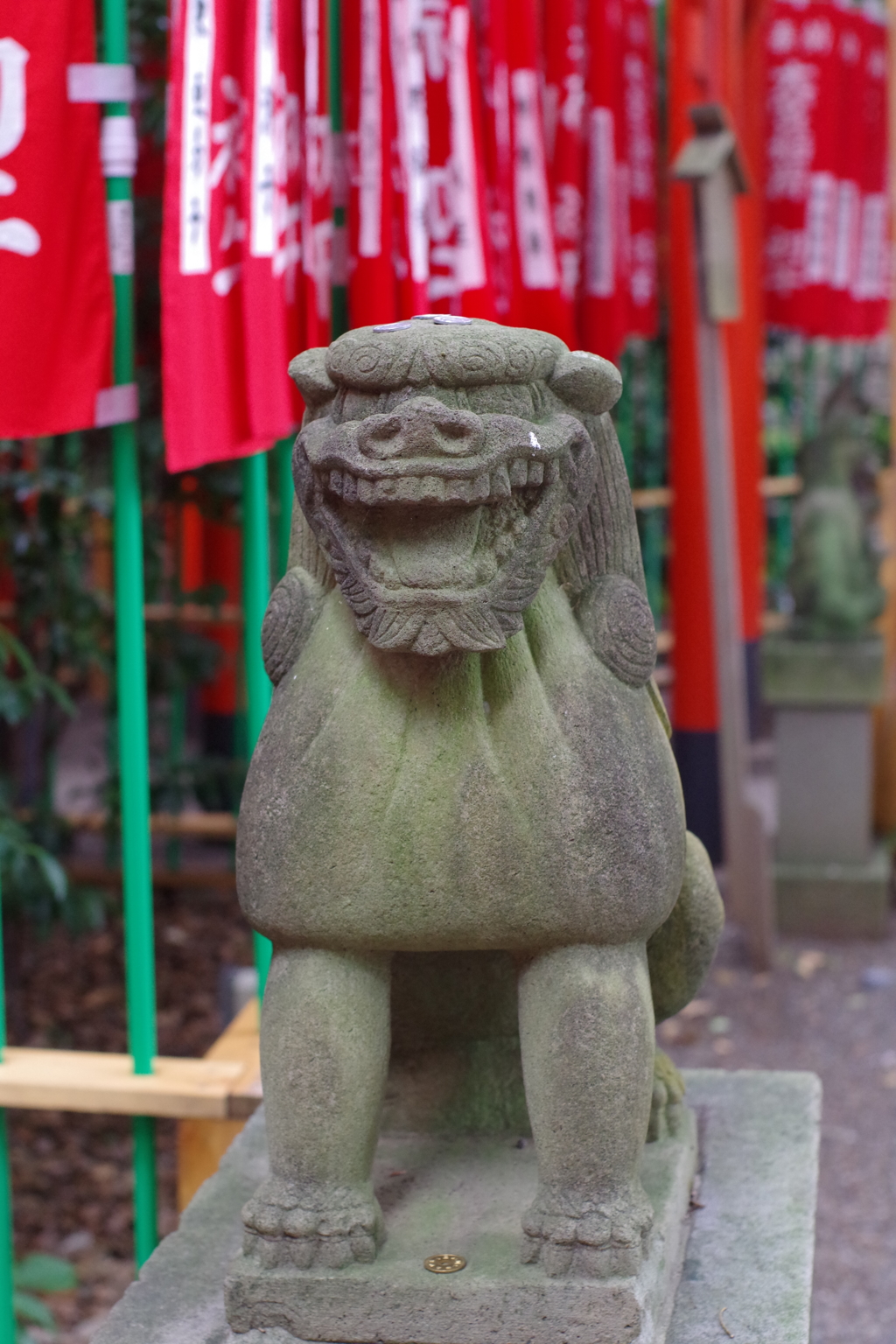 狛犬_大宮八幡宮(杉並)