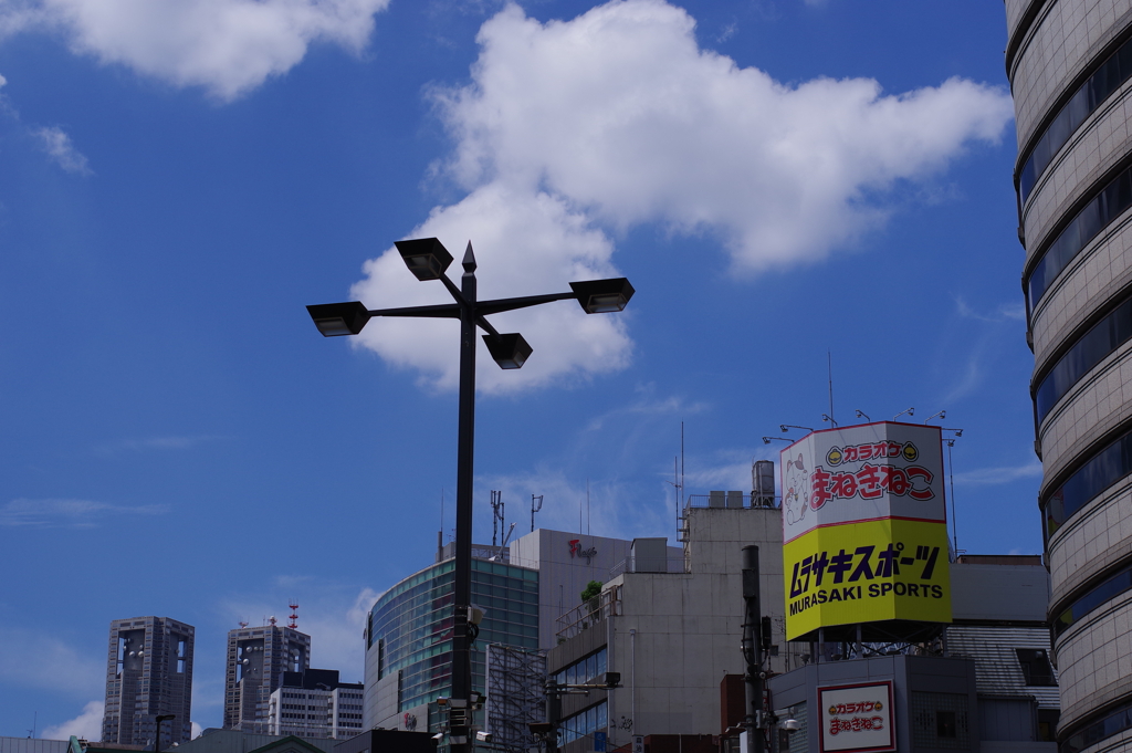 夏空_新宿四丁目