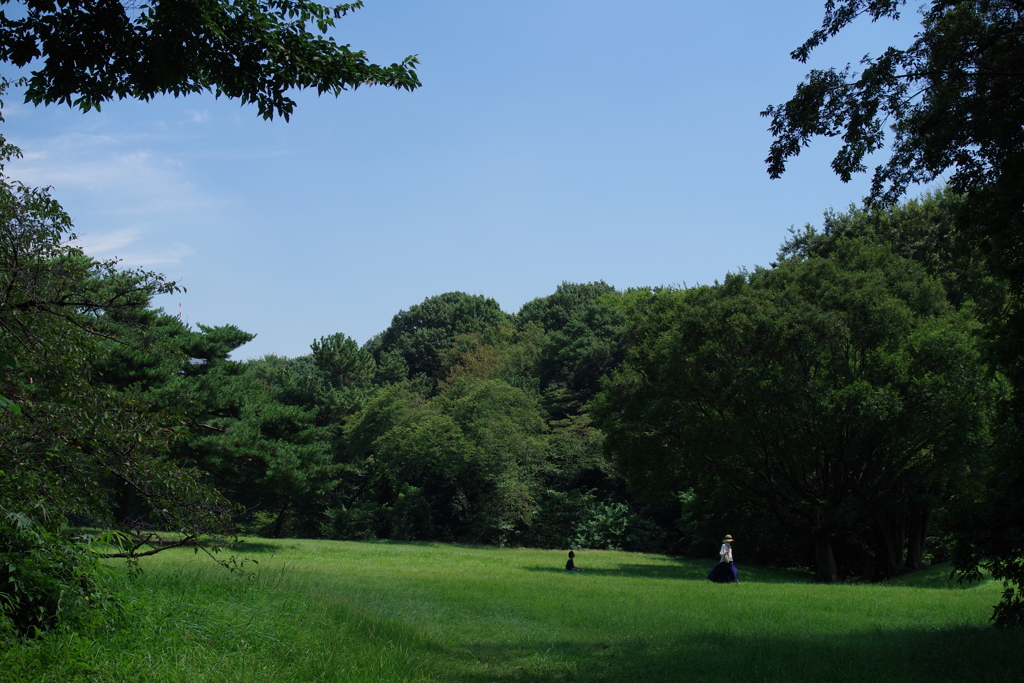 芝生広場 明治神宮 By ことだま Id 写真共有サイト Photohito