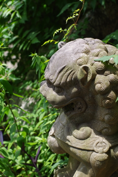 狛犬_東禅寺