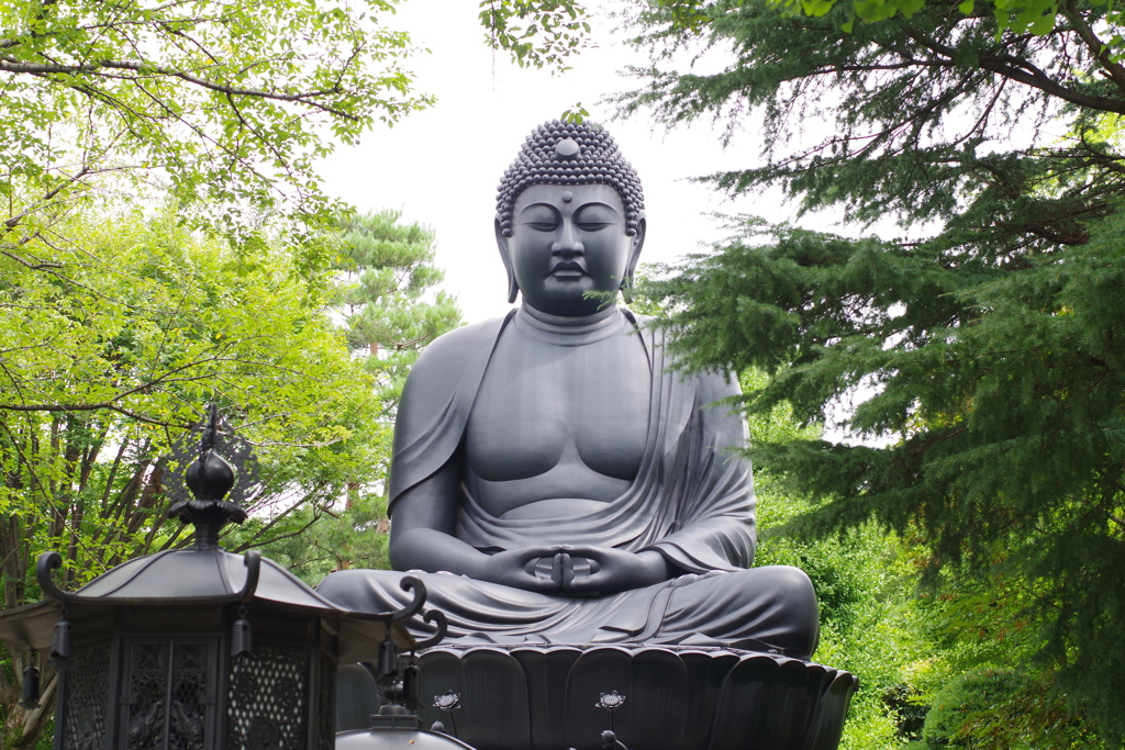 東京大仏_乗蓮寺