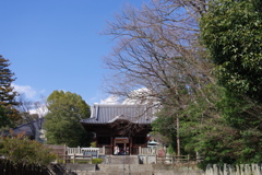 四天門_屋島寺