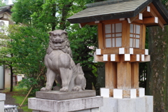 狛犬_東郷神社