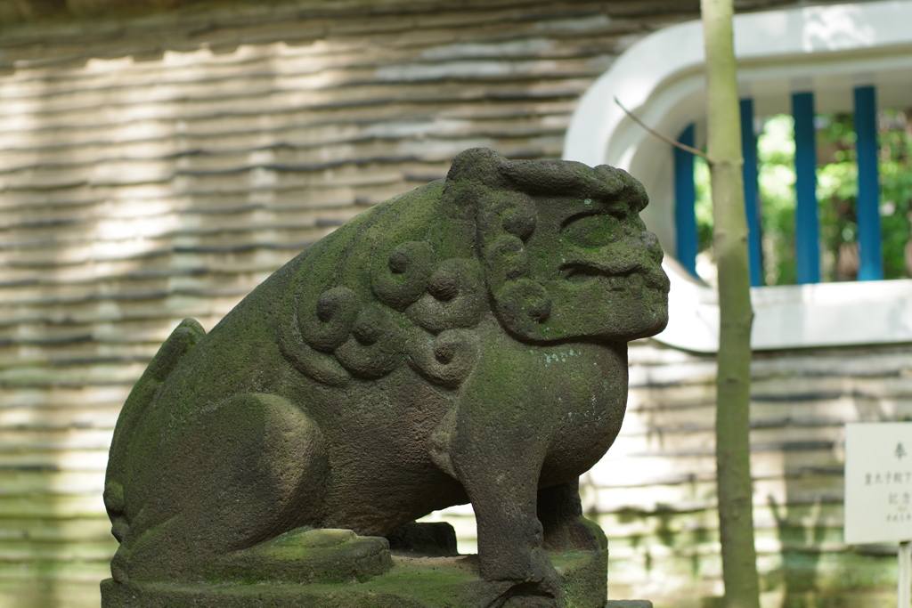 狛犬_赤坂氷川神社