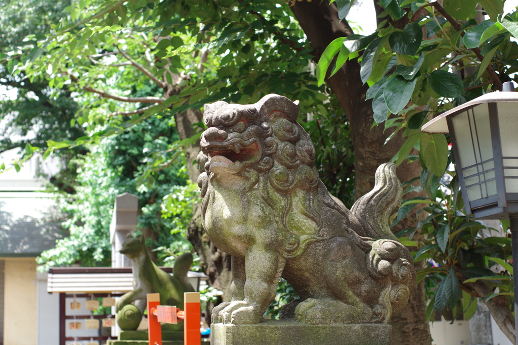 狛犬_皆中稲荷神社