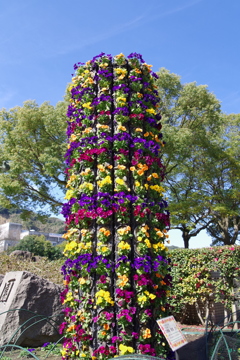 花壇_中央公園