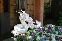 手水舎_龍_田無神社