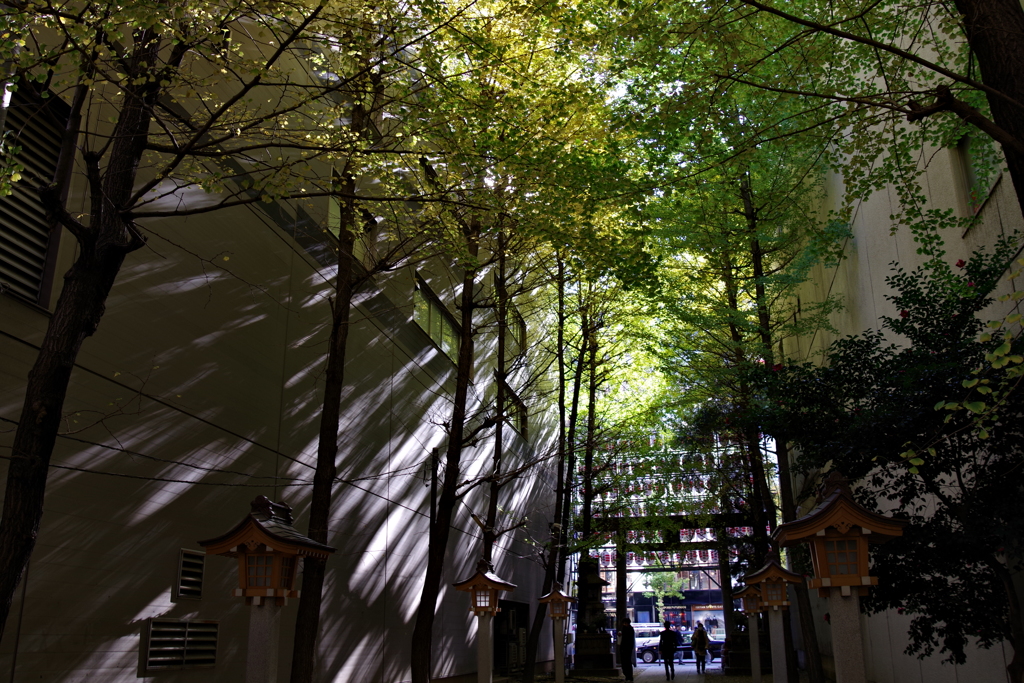 参道_花園神社