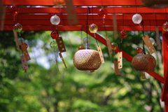 風鈴_昭和記念公園