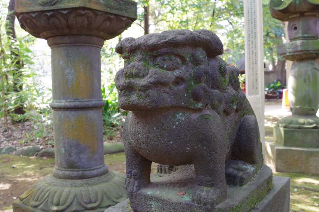 狛犬_赤坂氷川神社