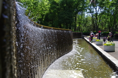 白糸の滝_新宿中央公園